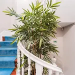 Victoria Project - - Private Parking